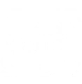 Geneva International Motor Show